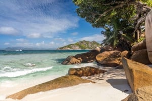 Praslin: crucero de día completo a las islas Sister y Coco y barbacoa criolla