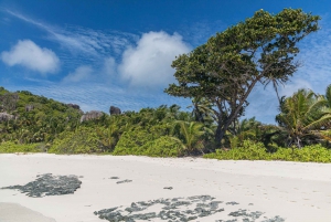 Praslin: crucero de día completo a las islas Sister y Coco y barbacoa criolla