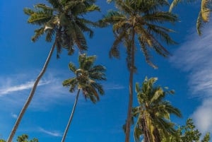 Praslin: crucero de día completo a las islas Sister y Coco y barbacoa criolla