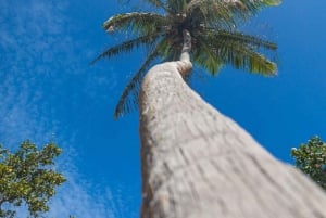 Praslin: crucero de día completo a las islas Sister y Coco y barbacoa criolla