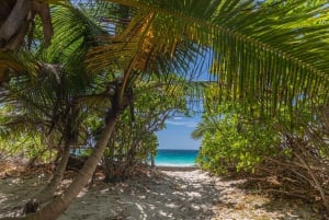 Praslin: crucero de día completo a las islas Sister y Coco y barbacoa criolla