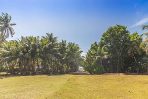 Praslin: crucero de día completo a las islas Sister y Coco y barbacoa criolla