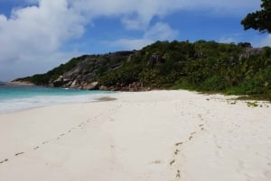 De Praslin: Excursão às ilhas Sister e St Pierre com almoço