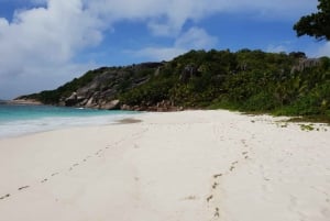 From Praslin: Sister & St Pierre Island Tour with Lunch