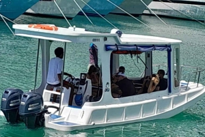 Glassbottom boat StAnne Marine National Park Snorkeling