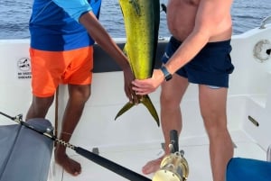 Puolen päivän kalastus, Praslin, Seychellit.