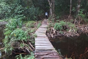 Isla de Seychelles: Tour de aventura por Mahé