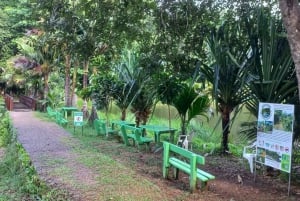 Isla de Seychelles: Tour de aventura por Mahé