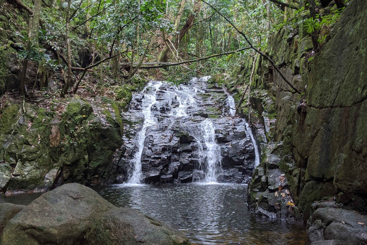 Randonnée dans la jungle : escalade, cascade, découverte des Seychelles !