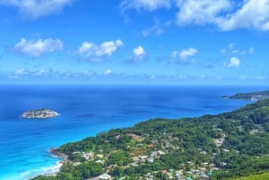 Jungle Avontuur Wandeling: Klim, Waterval, Ontdek de Seychellen!