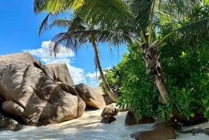 Noleggio barca privata di lusso a Praslin, Seychelles, con barbecue.