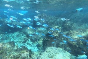 Noleggio barca privata di lusso a Praslin, Seychelles, con barbecue.