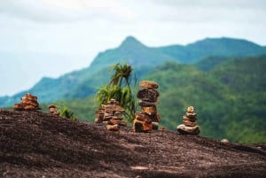 Mahé: Copolia Trail Guided Nature Walk
