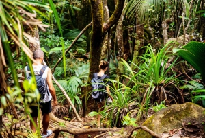 Mahé: Copolia Trail Guided Nature Walk