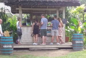 Mahé: Individuelle private Inseltour mit Fahrer
