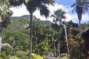 Mahé: tour privato personalizzabile dell'isola con autista
