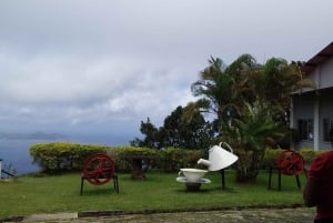 Mahé: tour privado personalizable de la isla con conductor