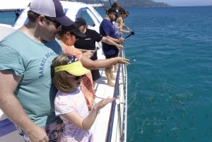 Mahe: Excursión de un día en barco con fondo de cristal, snorkel y almuerzo