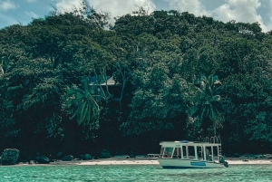 Mahe: Dagbruddscruise med snorkling