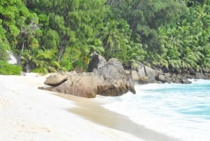 Île de Mahé : Excursion privée d'une journée sur l'île de Mahé