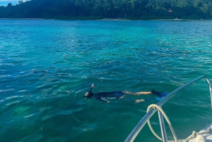 Mahe Island: Snorkling i St. Anne Marine Park