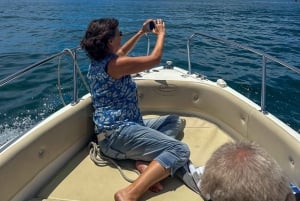 Mahe: Excursión de medio día en barco privado por el Parque Marino de Santa Ana