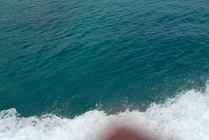 Mahe: Privat halvdagstur till Moyenne & St Anne Marine Park