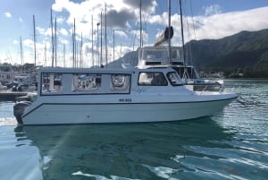 Mahe: Privat halvdagstur till Moyenne & St Anne Marine Park