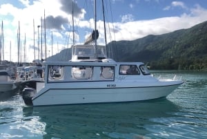 Mahe: Privat halvdagstur till Moyenne & St Anne Marine Park