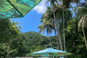 Mahe: Private Tour with culture discovery and beach time