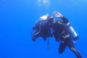 Mahé: mergulho com naufrágios e recifes de coral