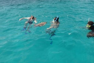 Praslin: Coco Felicite & La Digue Island heldags båttur