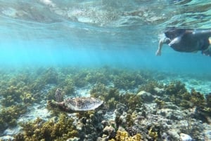 Praslin: Coco Felicite & La Digue Island heldags båttur