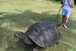 Praslin: Curieuse and St. Pierre Island Excursion