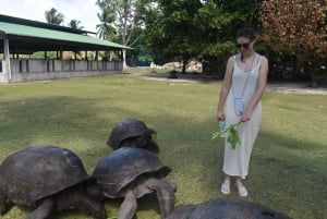 Praslin: Curieuse and St. Pierre Island Excursion