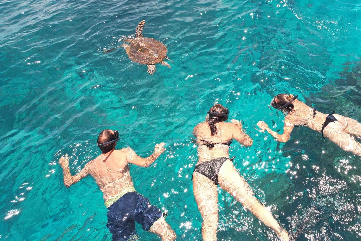 Праслен — Курьез, Сен-Пьер, Анс-Жоржет — частная поездка