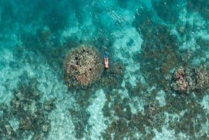 プラリン - キュリーズ・サンピエール・アンセ・ジョルジェット プライベートツアー