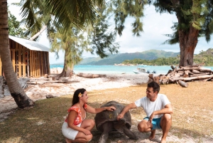 Праслен — Курьез, Сен-Пьер, Анс-Жоржет — частная поездка