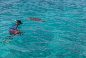 Praslin: Curieuse & St. Pierre -päiväretki veneellä ja grillillä