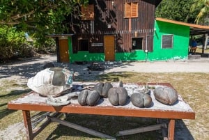 Praslin: Curieuse & St. Pierre -päiväretki veneellä ja grillillä