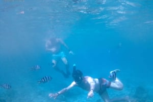 Praslin: Curieuse & St. Pierre -päiväretki veneellä ja grillillä