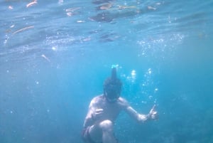 Praslin: Curieuse & St. Pierre -päiväretki veneellä ja grillillä