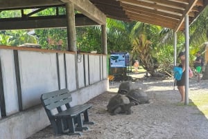 Praslin: Curieuse & St. Pierre -päiväretki veneellä ja grillillä
