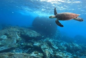 Praslin: escursione di un giorno alle isole Curieuse e St Pierre con barbecue