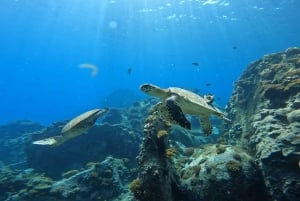 Praslin: escursione di un giorno alle isole Curieuse e St Pierre con barbecue