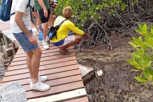 Praslin: escursione di un giorno alle isole Curieuse e St Pierre con barbecue