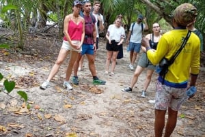 Praslin: escursione di un giorno alle isole Curieuse e St Pierre con barbecue