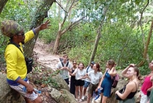 Praslin: escursione di un giorno alle isole Curieuse e St Pierre con barbecue