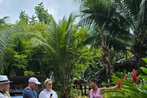 Praslin: Wycieczka jednodniowa Valle De Mai, Muzeum Cote D'or i Anse Lazio