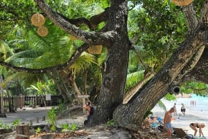 Praslin: Wycieczka jednodniowa Valle De Mai, Muzeum Cote D'or i Anse Lazio